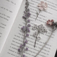 novel
